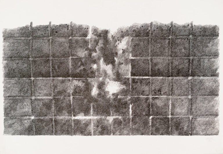 Alexandrina Gheție – Germinație