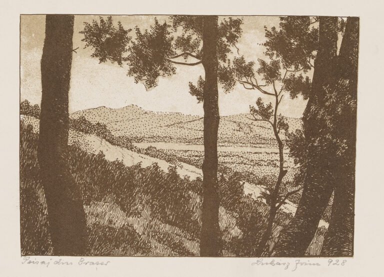 Irina Lukász – Peisaj din Brașov