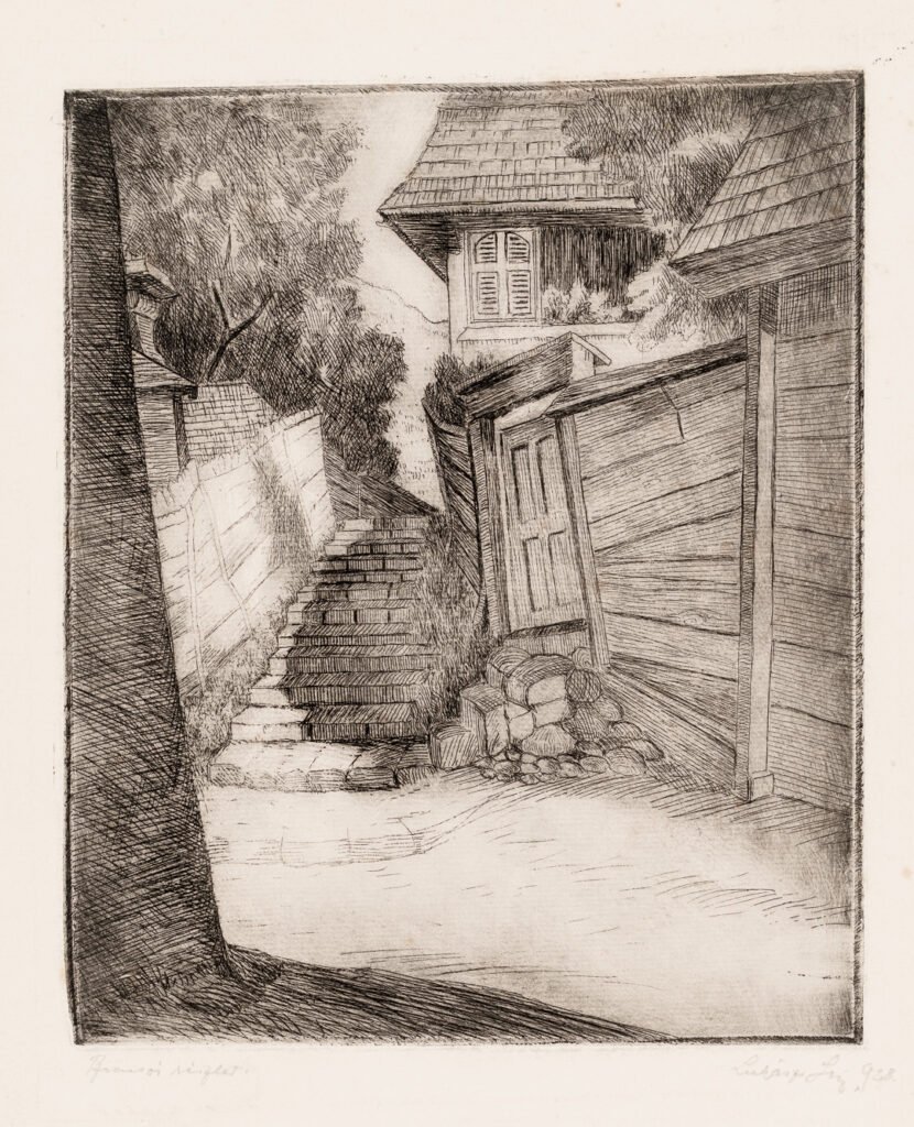 Peisaj din Brașov