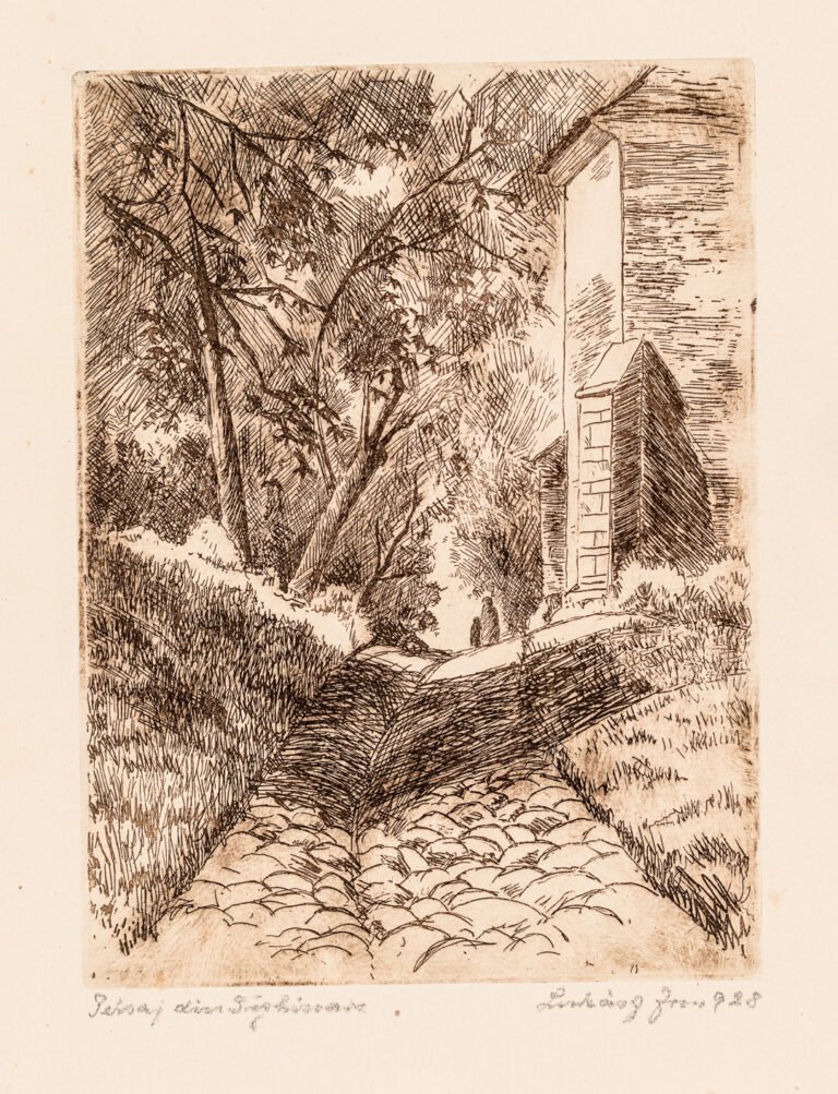 Irina Lukász – Peisaj din Sighișoara